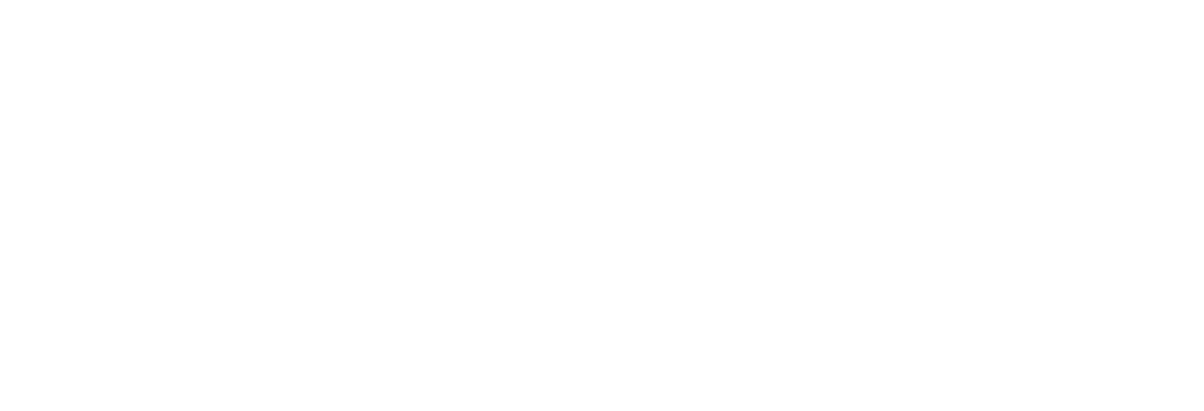 CNI logo